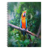 Carnet Martinique Macaw (Devant)