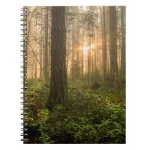 Carnet Matin brumeux du nord-ouest Pacifique de la forêt