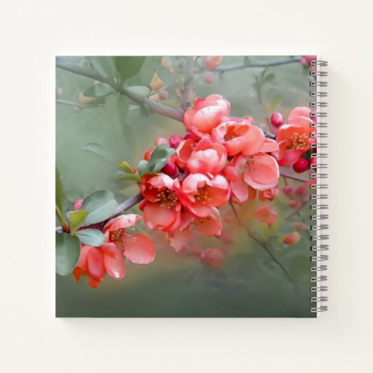 Carnet Matthieu 19:26 Avec DIEU, tout est possible (Dos)