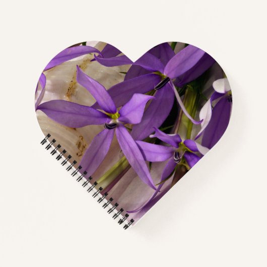 Carnet Mauve Starshine Laurentia (Devant)