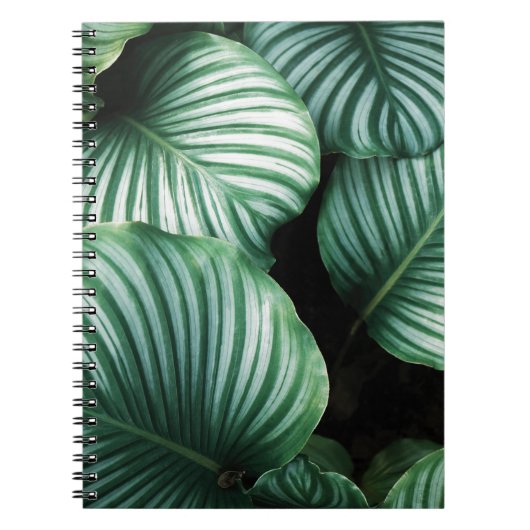 Carnet me laisser seule (Devant)