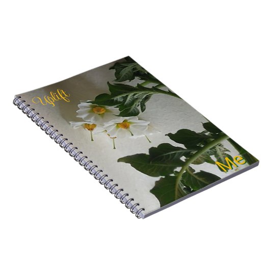 Carnet Me pousser (Côté Droit)