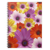 Carnet Médaille colorée de marguerites africaines Fleurs (Devant)