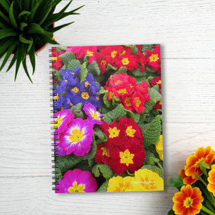 Carnet Médaille colorée printanière de Primulas