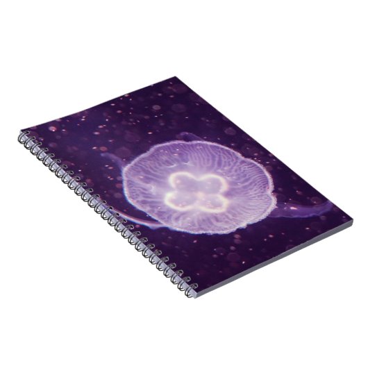 Carnet Méduse natante (Côté Droit)
