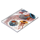 Carnet Méduses par Ernst Haeckel (Côté gauche)