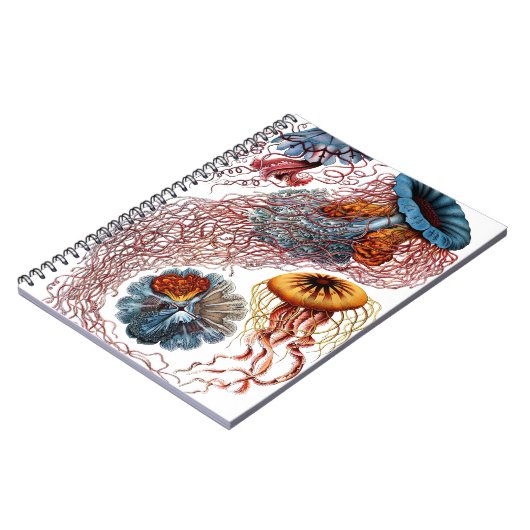 Carnet Méduses par Ernst Haeckel (Côté gauche)