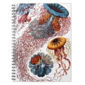 Carnet Méduses par Ernst Haeckel (Devant)