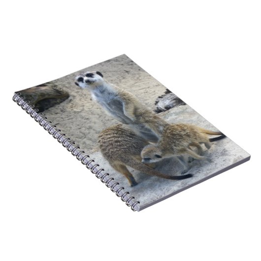 Carnet Meerkat (Côté Droit)