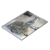 Carnet Meerkat (Côté gauche)