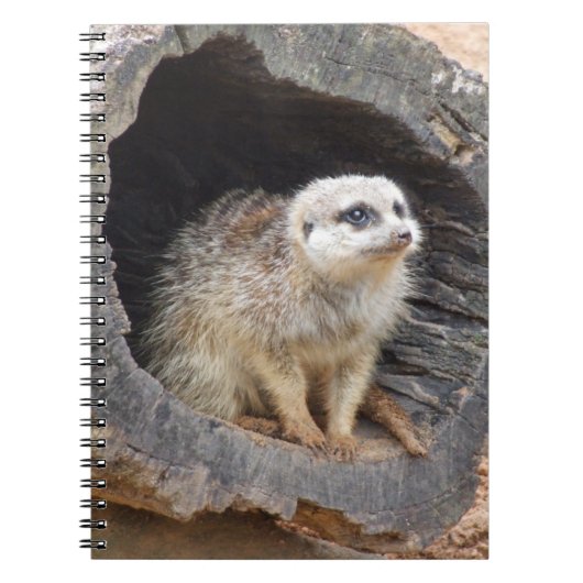 Carnet Meerkat (Devant)