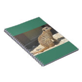 Carnet Meerkat (Côté Droit)