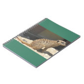 Carnet Meerkat (Côté gauche)