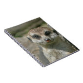 Carnet Meerkat 005 (Côté Droit)