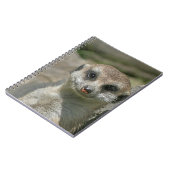 Carnet Meerkat 005 (Côté gauche)