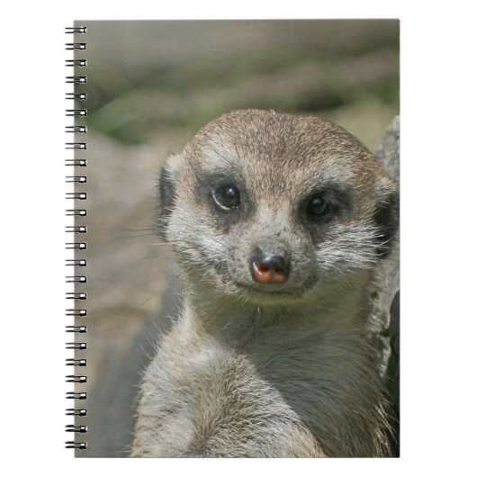 Carnet Meerkat 005 (Devant)