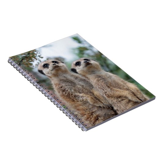 Carnet Meerkat 013 (Côté Droit)