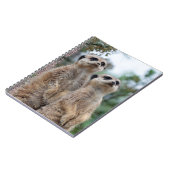 Carnet Meerkat 013 (Côté gauche)