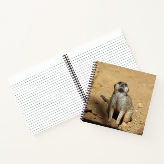 Carnet Meerkat 031 (Intérieur)