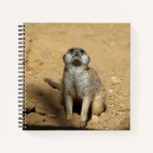 Carnet Meerkat 031 (Devant)