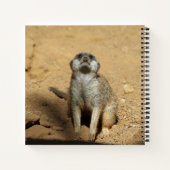 Carnet Meerkat 031 (Dos)