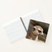 Carnet Meerkat 048 (Intérieur)