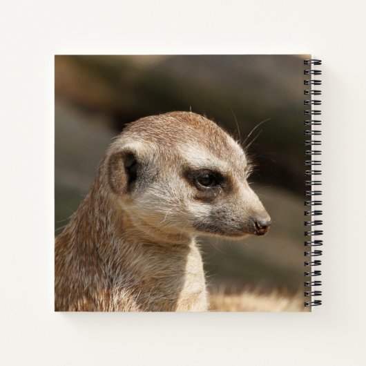 Carnet Meerkat 048 (Dos)