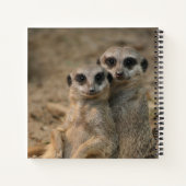 Carnet Meerkat 067 (Dos)
