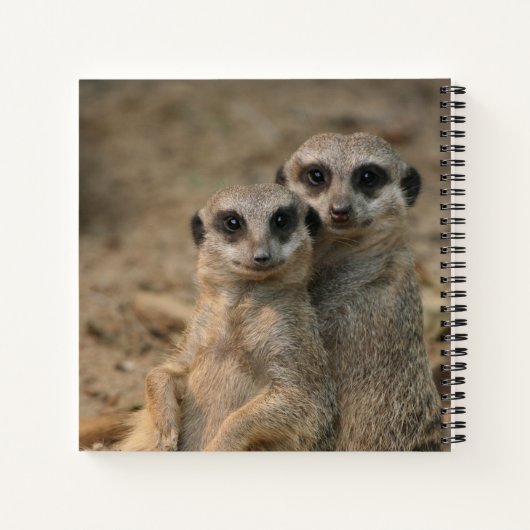 Carnet Meerkat 067 (Dos)