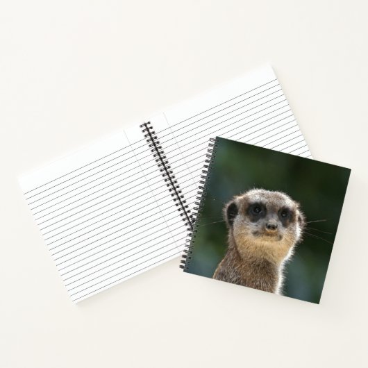 Carnet Meerkat 068 (Intérieur)