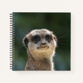 Carnet Meerkat 068 (Devant)