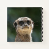 Carnet Meerkat 068 (Dos)