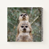 Carnet Meerkat 081 (Dos)