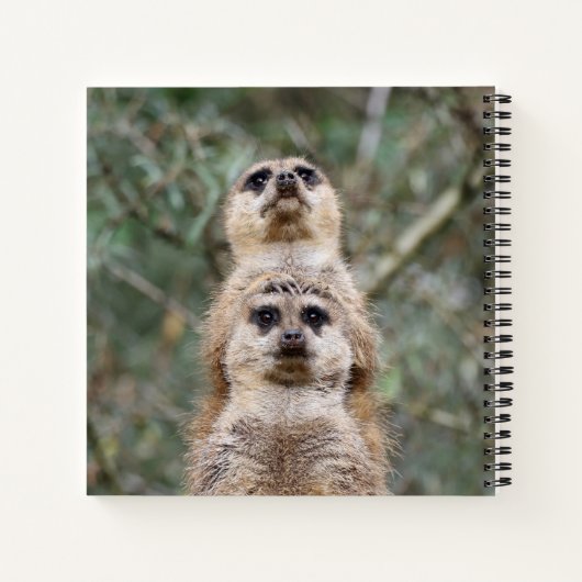 Carnet Meerkat 081 (Dos)