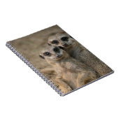 Carnet Meerkat 090 (Côté Droit)