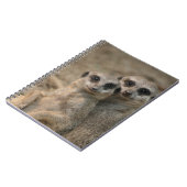 Carnet Meerkat 090 (Côté gauche)