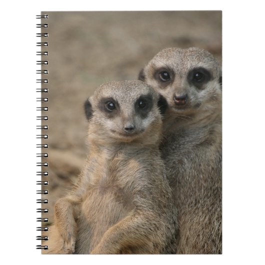 Carnet Meerkat 090 (Devant)