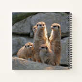 Carnet Meerkat 110 (Dos)