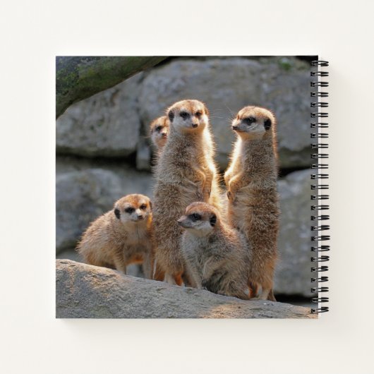 Carnet Meerkat 110 (Dos)