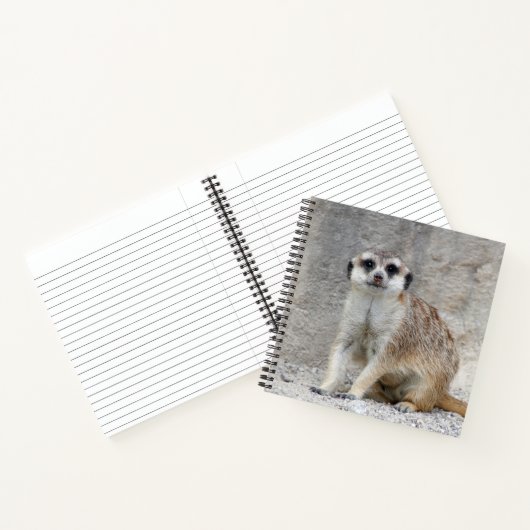 Carnet Meerkat 134 (Intérieur)