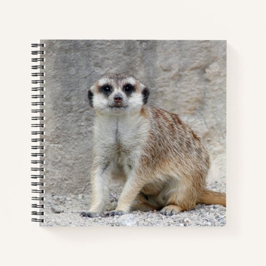 Carnet Meerkat 134 (Devant)