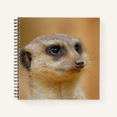 Carnet Meerkat 154 (Devant)