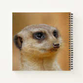 Carnet Meerkat 154 (Dos)