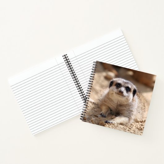 Carnet Meerkat 174 (Intérieur)