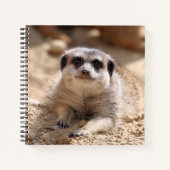 Carnet Meerkat 174 (Devant)