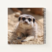Carnet Meerkat 174 (Dos)