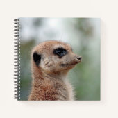 Carnet Meerkat 180 (Devant)
