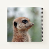 Carnet Meerkat 180 (Dos)