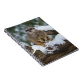 Carnet Meerkat Dans La Neige (Côté Droit)