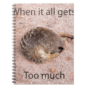 Carnet Meerkat drôle